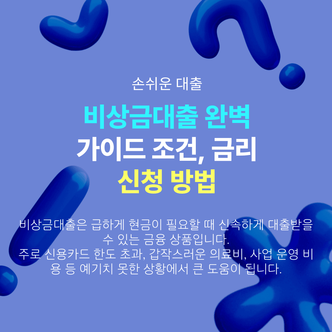 비상금대출이란